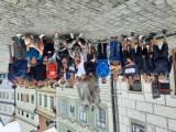 Fotogalerie vodák 2025, foto č. 163